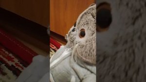 Школа Басиков 1 серия