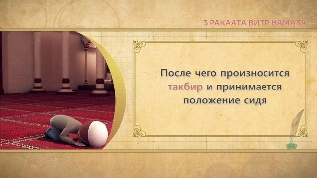 Учимся читать намаз (для мужчин) | 3 ракаата витр намаза