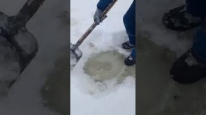 Бур