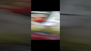 доставка магнит еда привезла нам поесть на новый год!