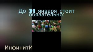 Уже приготовился загадывать новогодние желания?