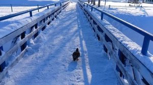 Красноусольские минеральные источники в Башкортостане!!!