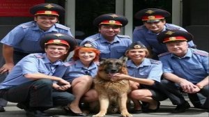 Актёры из сериала "Возвращение Мухтара"