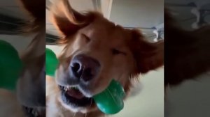 хороший мальчик готов сделать хозяину молниеносный фистинг ♂️