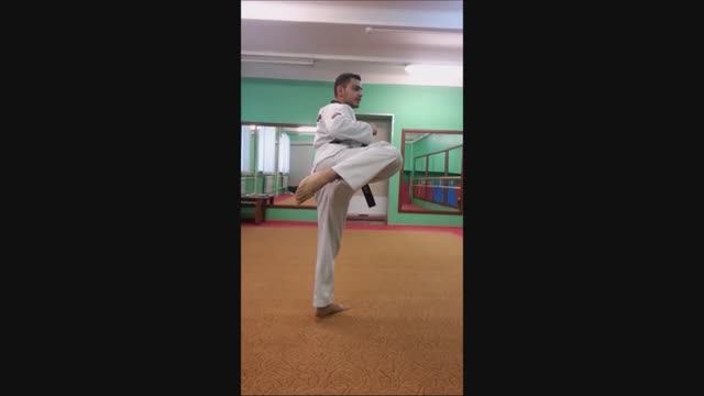 Taekwondo WTF. Удары ногами. Толё Чаги.