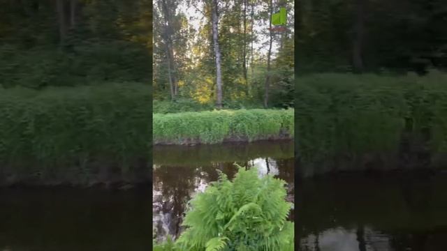 Продается участок 11,65 соток в д. Рожново, г. Бор смотреть онлайн