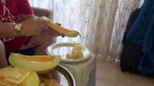 Турецкая Дыня