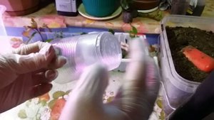 МАССА МЕЛОЧЕЙ при выращивании растений из ЧЕРЕНКОВ.