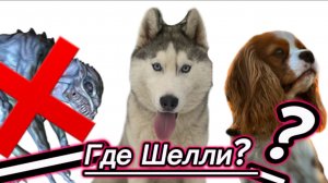 Я УБИЛА МОНСТРА??? ГДЕ ЖЕ ШЕЛЛИ?? (Хаски Энигма)