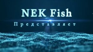 Рыбалка на Спиннинг/МОСКВА-РЕКА.Взял два Судака.