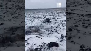 Неопознанный летающий объект упал в Волгоградской области