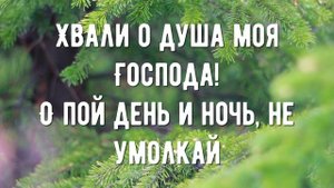 Хвали о душа - минус мой
