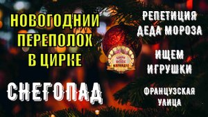 Новогодний переполох в цирке на воде "Мирандус"