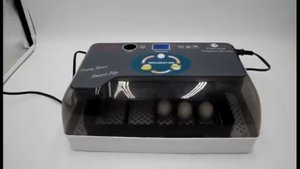 ✅ АВТОМАТИЧЕСКИЙ ИНКУБАТОР ДЛЯ ЯИЦ С АЛИЭКСПРЕСС