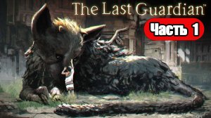 The Last Guardian - Геймплей Прохождение Часть 1 (без комментариев, PS5)