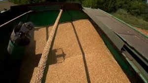 уборочная по найму пшеница  гром