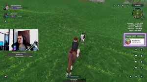 ПРОХОЖУ ГОНКИ, ЧЕМПИОНАТЫ | ЧИЛЛ СТРИМ В STAR STABLE ONLINE | SSO