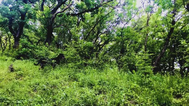 Солнце воздух и вода в нашей жизни господа смотреть онлайн