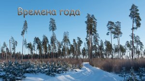 Времена года России 2024