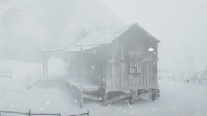 ПАДАЮЩИЙ СНЕГ в лесу и завывающий ветер навевают сон. Холодный штормовой ветер