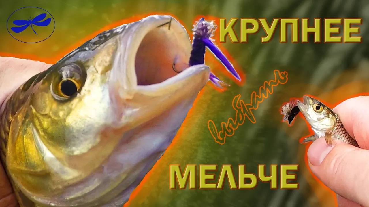 Крупнее или Мельче выбрать мушку? Мушка Синяя Стрекоза в деле. Ловля на стрекозу.