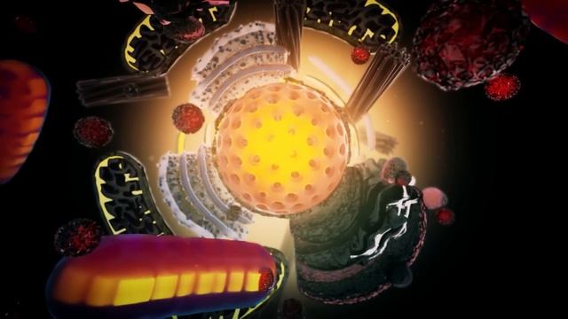 Оптимальная Схема Сжигания Жира (Скорость, Интенсивность) смотреть онлайн