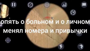 текст песни лилии