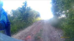 БАРС  И ГЕПАРД