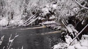 Зиму ждала природа