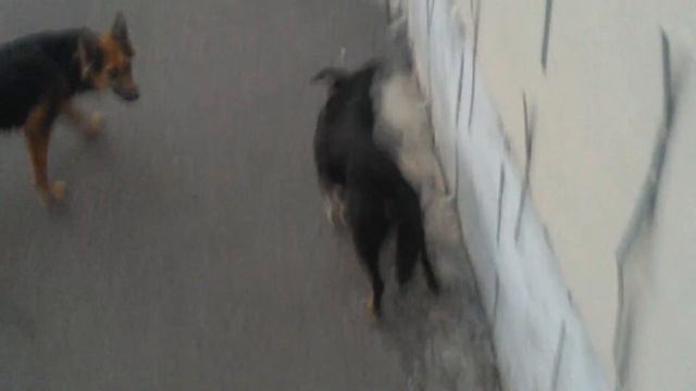 Самоудовлетворение