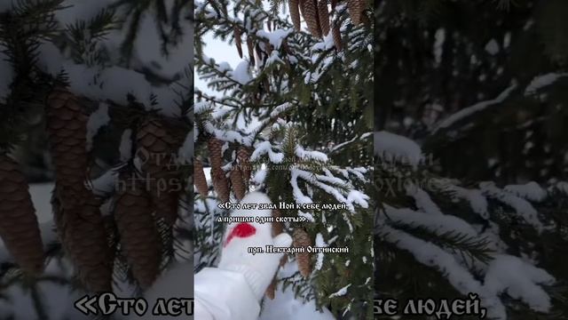 Доброе утро! 🤍 прп. Нектарий Оптинский