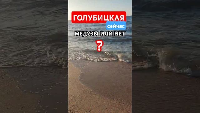 Голубицкая СЕЙЧАС.Медузы есть или нет? #голубицкая #море #азовскоеморе #отдых #отпуск #отпуск2024