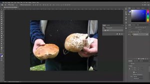 Сумма красок в макете. Где увидеть и как срезать