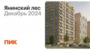 Янинский лес 12.12.2024