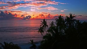 Ambient music to create a peaceful atmosphere.