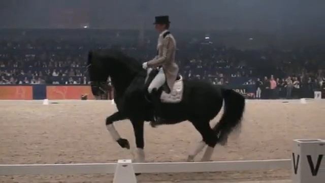 Тотилас чемпион