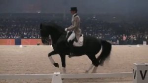 Тотилас чемпион