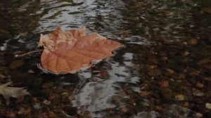 Paul Verlaine - Chanson d'automne