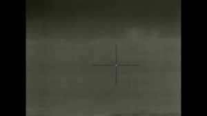 Охота на шакала в Волгоградских степях как она есть, с промахами и упущенными возможностями