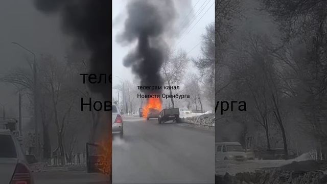 На Терешковой горит Калина