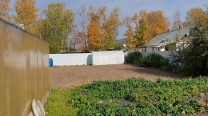 Работаем в саду и огороде согласно ПЛАНУ-вспашка огорода/посадка чеснока/пересадка яблонь/ягодки