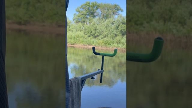 Ловля леща #отдых #рыбалка #ловлянафидер #фидер #2024 смотреть онлайн