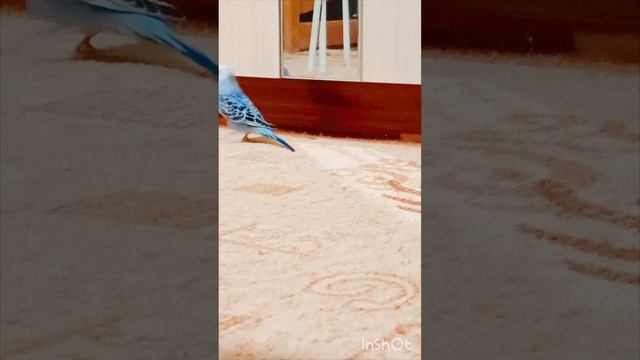 танцор диско!