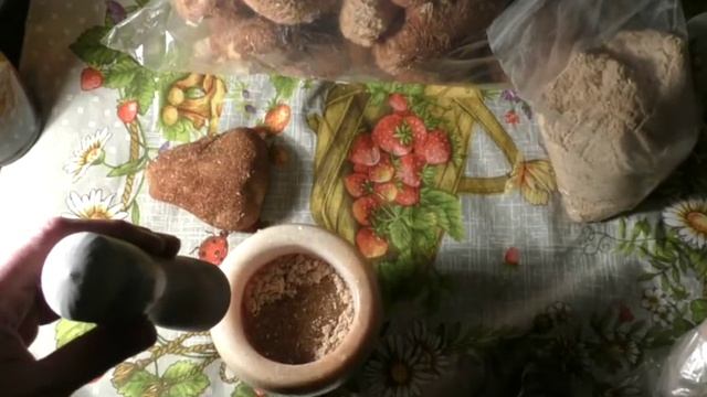 Eжовик (ежевик) гребенчатый в магазине ФитоДар. ФитоДар