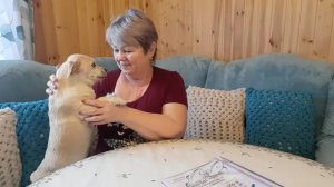 О МОЕЙ ПОЕЗДКЕ В МОСКВУ И ЧТО СЛУЧИЛОСЬ С НАШЕЙ ЛИЗОЙ