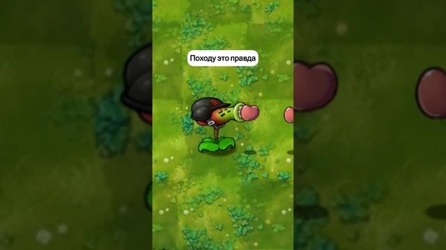 миниатюра №31 - растения против зомби  #пвз #pvz #shorts