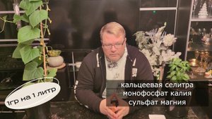 3 обязательных подкормки для томатов. скажи мышам нет.