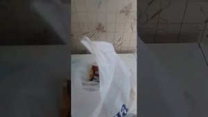 Покупки мороженого Славица!