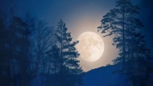 Я слышу шепот тишины