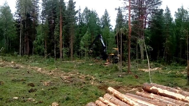 Лесозаготовительный комплекс Ponse